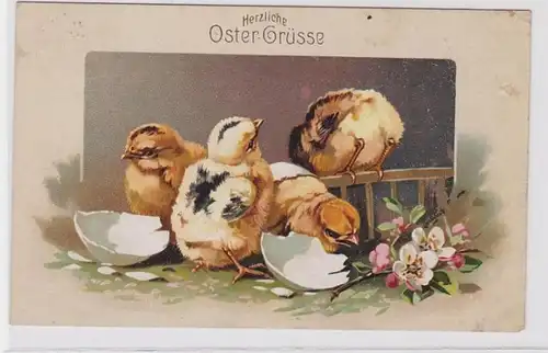81979 Glückwunsch AK Herzliche Ostergrüsse - Küken schlüpfen aus Ei 1919