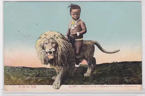 82604 Ak Afrique du Sud A ing Ride Enfant monté sur lions 1912