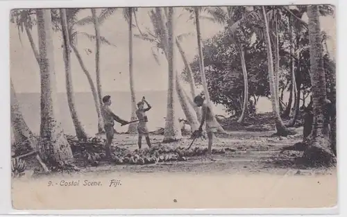 87245 Ak Fiji Costal Scene Kokusnussernte 1907