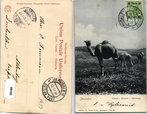 89183 AK Jérusalem - Camels - Kameele - Chameaux 1908