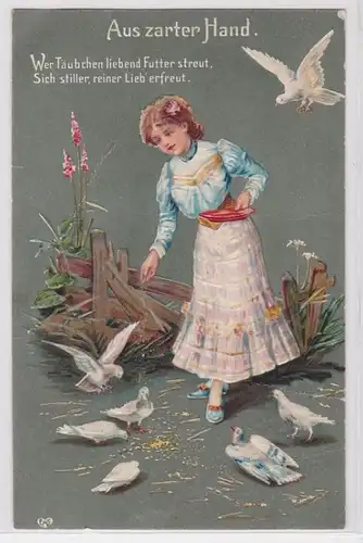 92580 Reim Prange Ak fille nourrit les pigeons 'De main délicate' 1910