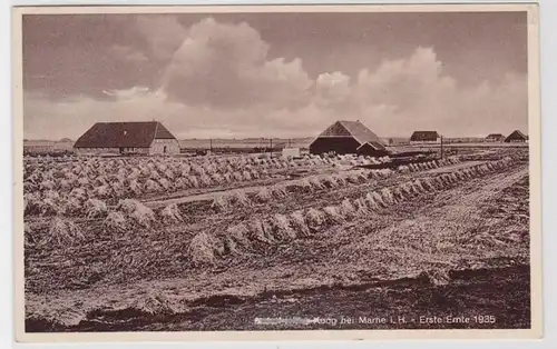 94183 Ak Dieksanderkoog chez Marne dans le Holstein première récolte 1935