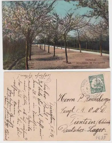94508 Ak Taitungchen Kiautschau Chine Tsingtau Cerisier fleur dans le jardin forestier 1914
