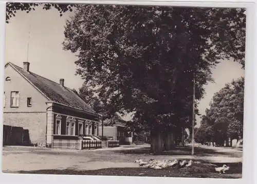 94579 AK Buchholz, Kreis Röbel / Müritz - Dorfstraße, Vue sur la route 1971