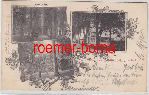 77329 Multi-image Ak Salutation de Fasanenhof Jersbeck 1902