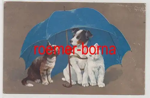 81438 Humor Ak chien et 2 chats assis sous parapluie 1921
