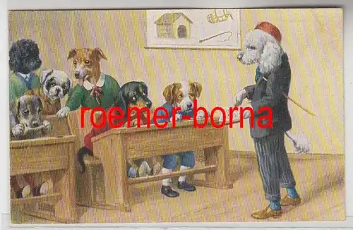 81565 Humor Ak Hunde sitzen auf Schulbank um 1910