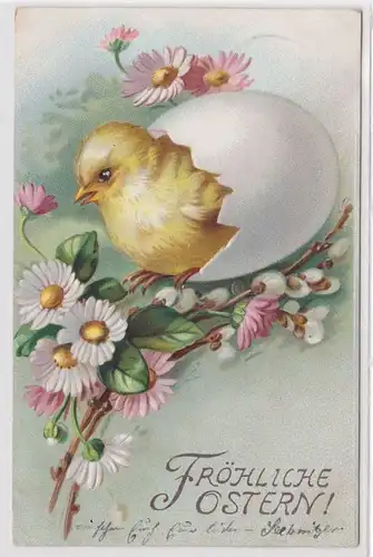 83344 Frohe Ostern Präge Ak Küken schlüpft aus Ei mit Blumen und Zweigen 1908