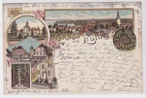 85877 Lithografie AK Gruss aus Eutin, Schloss, Hôtel, Denkmal & Schlosspark 1899