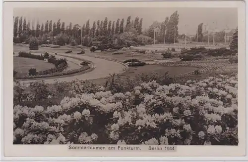 87329 Photo Carte Berlin Fleurs d'été à la Tour Funk 1944