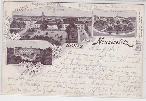 91166 AK Gruss de Neustrelitz - Grand-duc. Château Place du Marché & Hôtel de Ville 1896