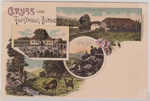 98384 Ak Lithographie Gruß vom Forsthaus Hohne im Harz um 1900