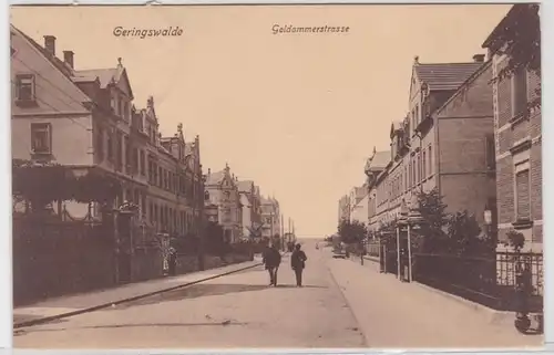 98530 Ak Geringswalde Goldammerstrasse 1927