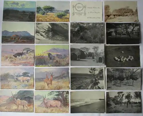 54 Cartes visuelles Colonie allemande Afrique du Sud-Ouest DSWA Namibie vers 1910 (13013)