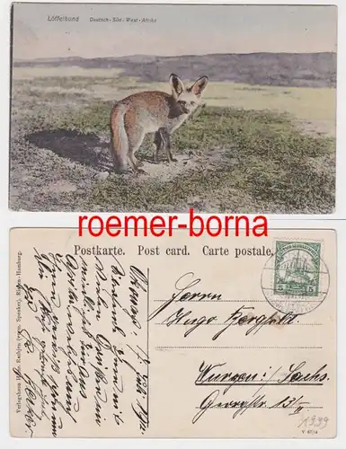 83006 Ak Karibib Deutsch Süd West Afrika Löffelhund 1912