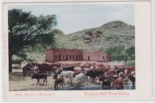 99046 Ak DSWA Allemand Sud-Ouest Afrique Namibie Farm Debera près de Brackwater vers 1910