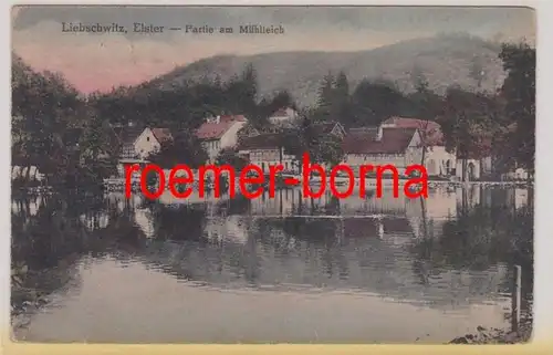 85685 Al Liebschwitz Elster bei Gera Partie am Mühlteich 1928