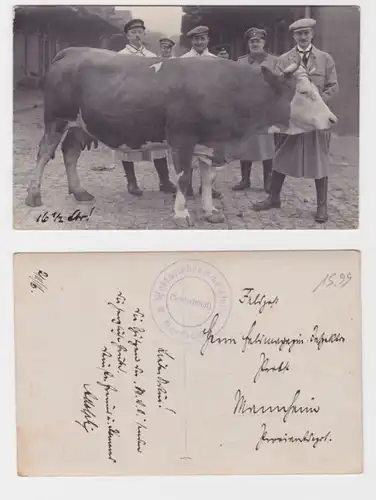 94377 Photo Ak Mannheim Abattage herbivores Centre de collecte 1916