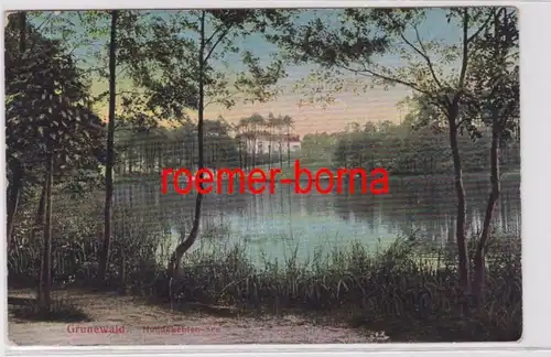 82789 Ak Berlin Grunewald Lac des Hundekhelseen 1911