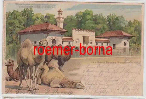 83630 Ak Berlin Zoologischer Garten Das Neue Kamelhaus 1900