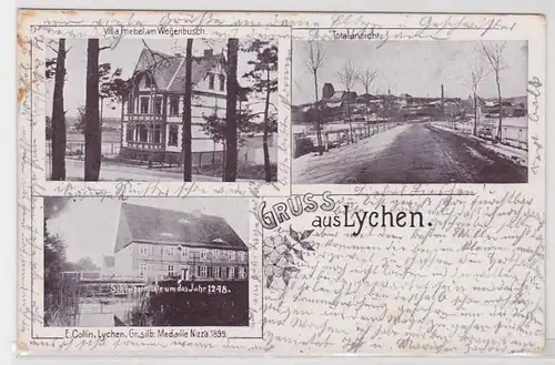 57853 Salutation multi-image Ak en Lychen Villa Friebel, moulin, etc. 1900