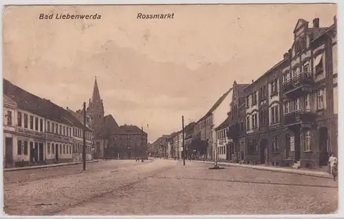 99936 Ak Bad Liebenwerda Rossmarkt 1913