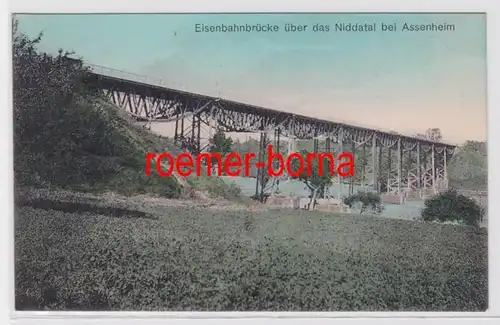 83073 Ak Eisenbahnbrücke über das Niddatal bei Assenheim 1913