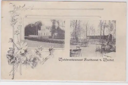 70461 AK Wald Restaurant Seelhorst près de Wülfel - Jardin Partie & Vue de face 1907