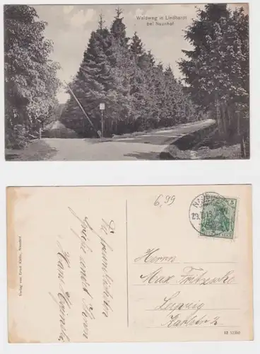 21828 Ak Waldweg in Lindhardt bei Naunhof 1913