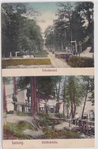 68620 Mehrbild Ak Leisnig Waldschänke und Schießstand um 1930