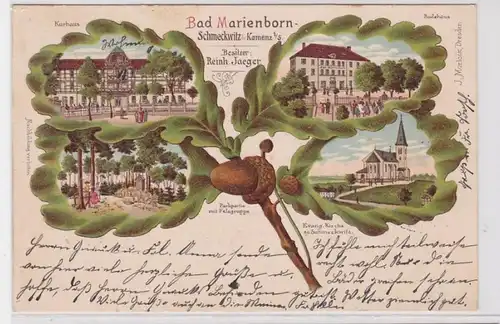 81938 Eichenblatt Ak Lithographie Bad Marienborn Schmeckwitz Kamenz in Sa. 1901