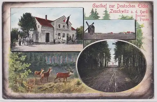 99945 Ak Gasthof zur Deutschen Eiche Zeschwitz an der Hardt 1910