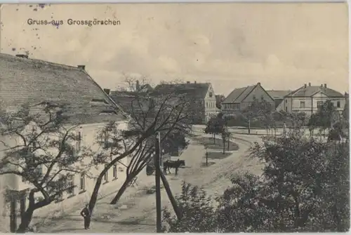 92592 AK Gruss aus Grossgörschen - Dorfansicht 1915