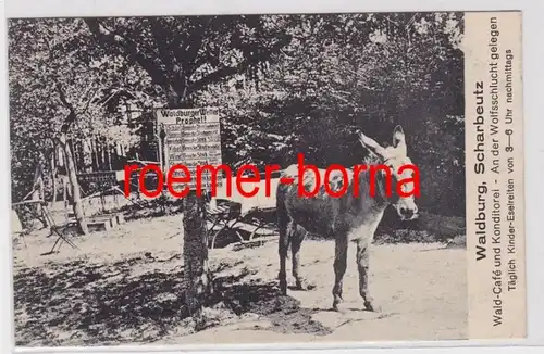 85646 Ak Scharbeutz Wald-Café Waldburg An der Wolfsschlucht um 1925