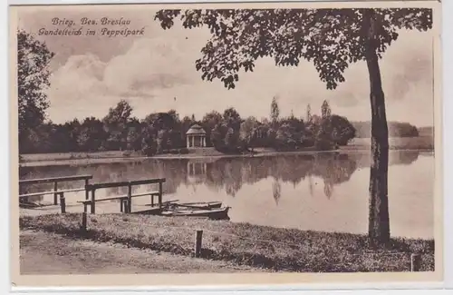 78886 Ak Brieg Bezirk Breslau Gondelteich im Peppelpark um 1930