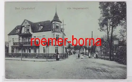 81357 Ak Bad Oppelsdorf Opolno-Zdrój Villa Vergissmeinicht um 1910