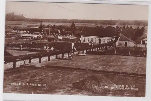 75611 Photo Ak Campinas Brésil Fazenda de café em Arrial dos Souza 1914