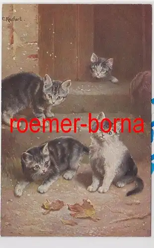 84607 Künstler Ak C. Reichert: Katzen im Herbst auf Treppenstufen um 1910