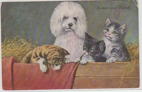 68697 Kitsch Ak Katzen und Hunde Babys im Stroh 'Anmut und Würde' um 1910
