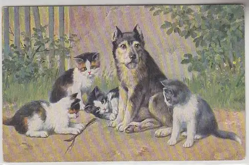 68053 Kitch Ak chats jouer avec le chien autour de 1910