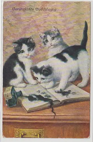 67966 Kitch Ak chats bébés avec encre 'comptable accidentée' vers 1910