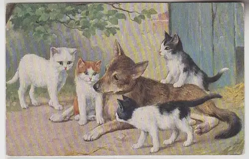 67063 Kitsch Ak Katzen Babys spielen mit Hund um 1910