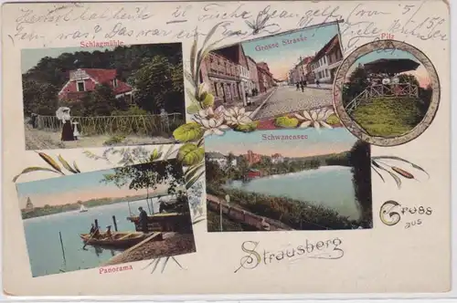 92478 AK Gruss aus Strausberg - Schlagmühle, Pilz, Panorama & Schwanensee 1926