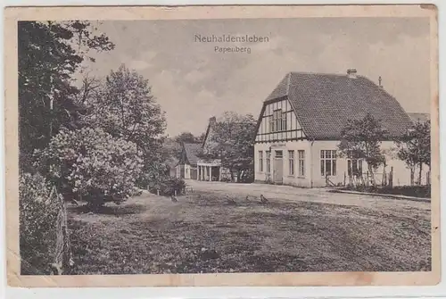 69519 Feldpost Ak Neuhaldensleben Papanberg 1915
