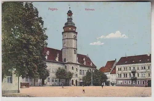 69304 Ak Pegau Rathaus 1914