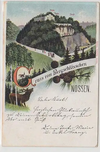 69089 Ak Lithographie Gruß vom Bergschlösschen Nossen 1908