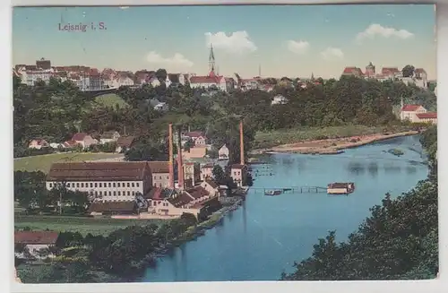 65885 Ak Leisnig in Sachsen Totalansicht 1912