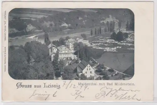 61225 Ak Gruss aus Leisnig Muldenthal mit Bad Mildenstein 1898