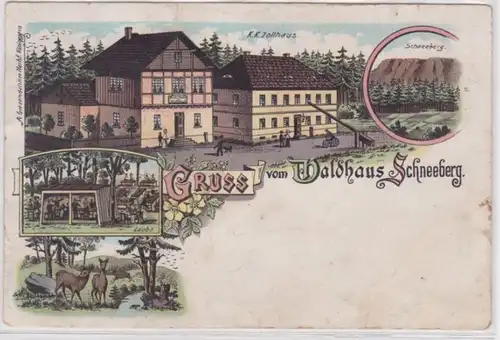 44375 Ak Gruss vom Waldhaus Schneeberg 1901