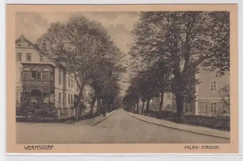 10895 Ak Wermsdorf - Blick in die Palais-Straße 1921